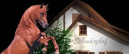 Guest house Landhotel Schwaerzhof Kulmbach